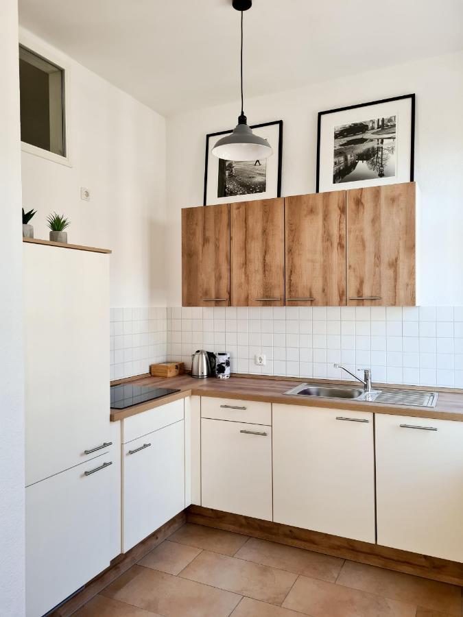 1-Raum-Wohnung Zentral Gelegen Dresda Exterior foto